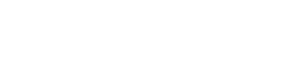 primary pixels logo